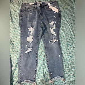 Judy Blue Jeans size 22 new with tags